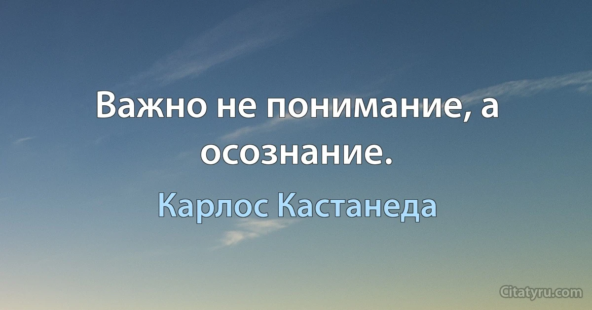 Важно не понимание, а осознание. (Карлос Кастанеда)