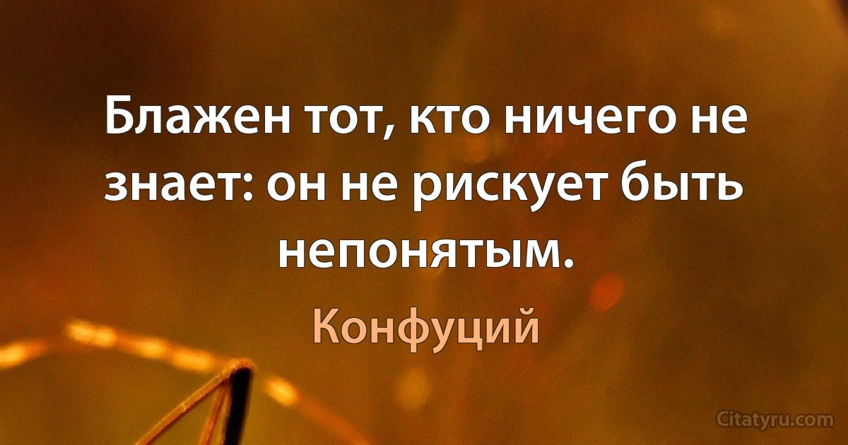 Блажен тот, кто ничего не знает: он не рискует быть непонятым. (Конфуций)