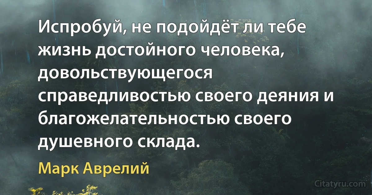 Испробуй, не подойдёт ли тебе жизнь достойного человека, довольствующегося справедливостью своего деяния и благожелательностью своего душевного склада. (Марк Аврелий)