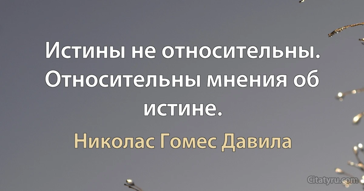 Истины не относительны.
Относительны мнения об истине. (Николас Гомес Давила)