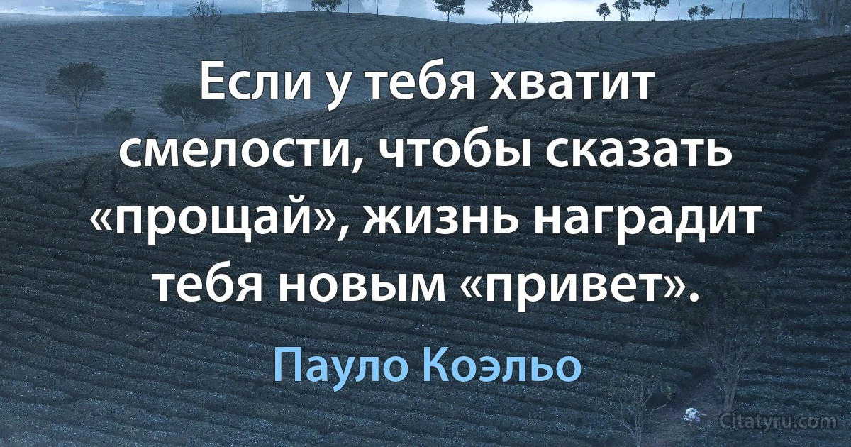 Если у тебя хватит смелости, чтобы сказать «прощай», жизнь наградит тебя новым «привет». (Пауло Коэльо)