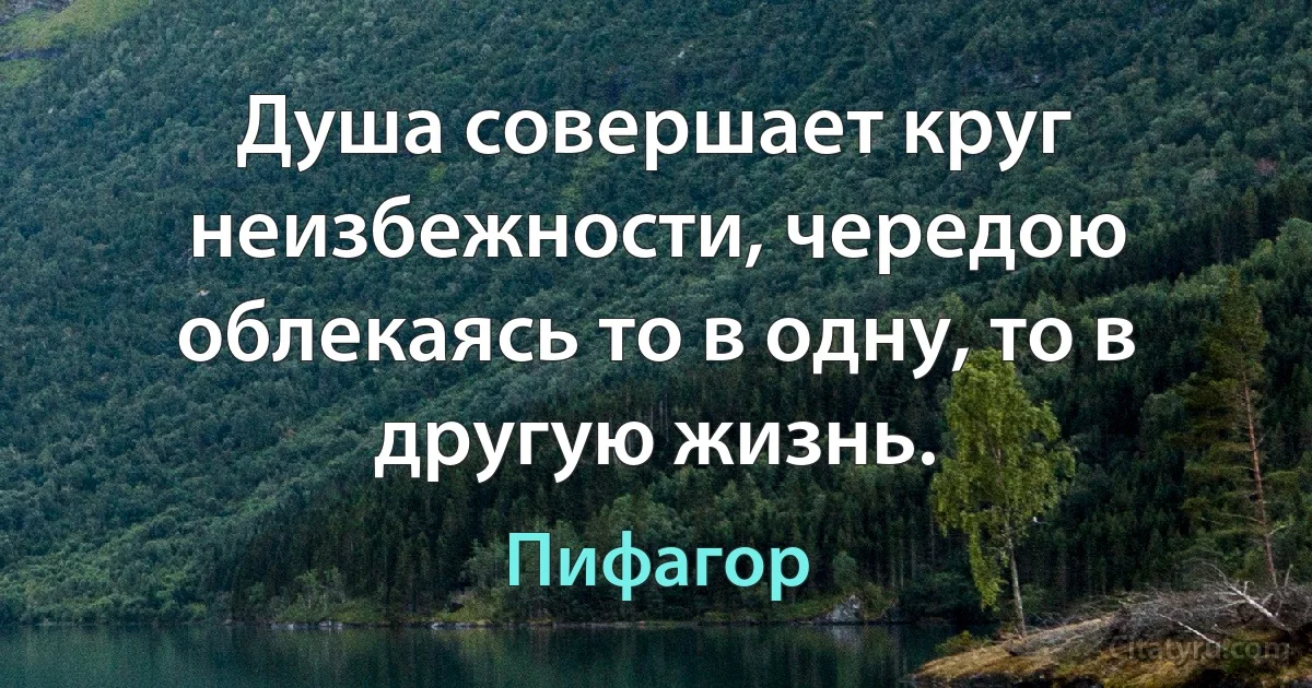 Душа совершает круг неизбежности, чередою облекаясь то в одну, то в другую жизнь. (Пифагор)