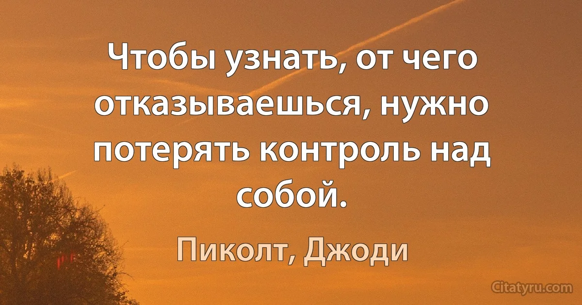 Чтобы узнать, от чего отказываешься, нужно потерять контроль над собой. (Пиколт, Джоди)