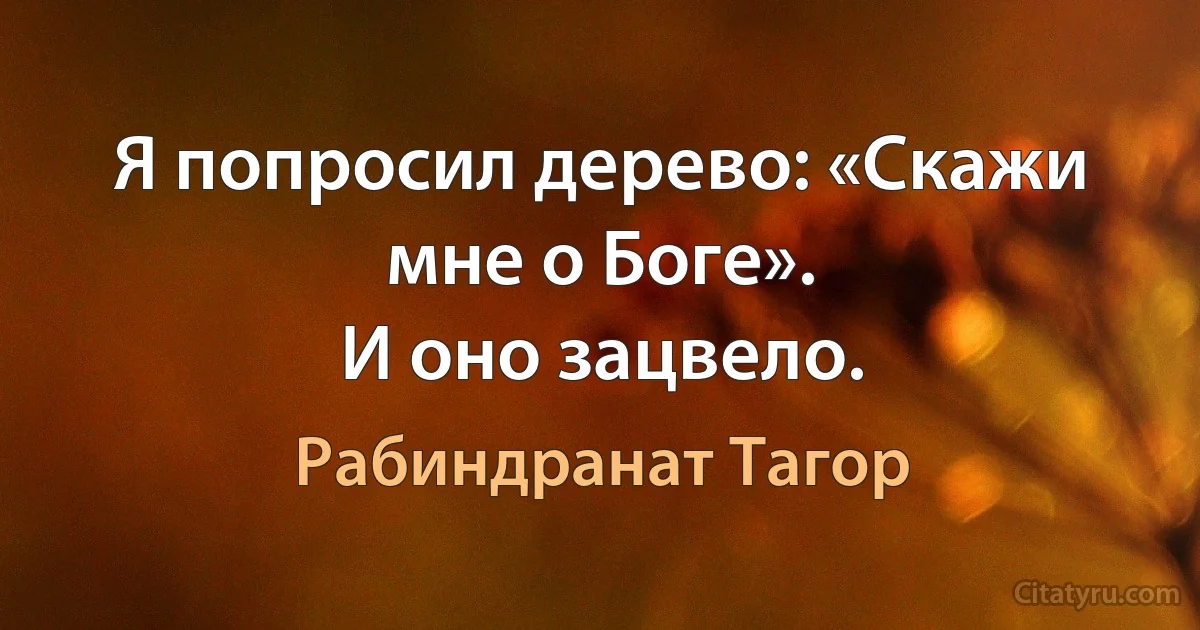 Я попросил дерево: «Скажи мне о Боге».
И оно зацвело. (Рабиндранат Тагор)