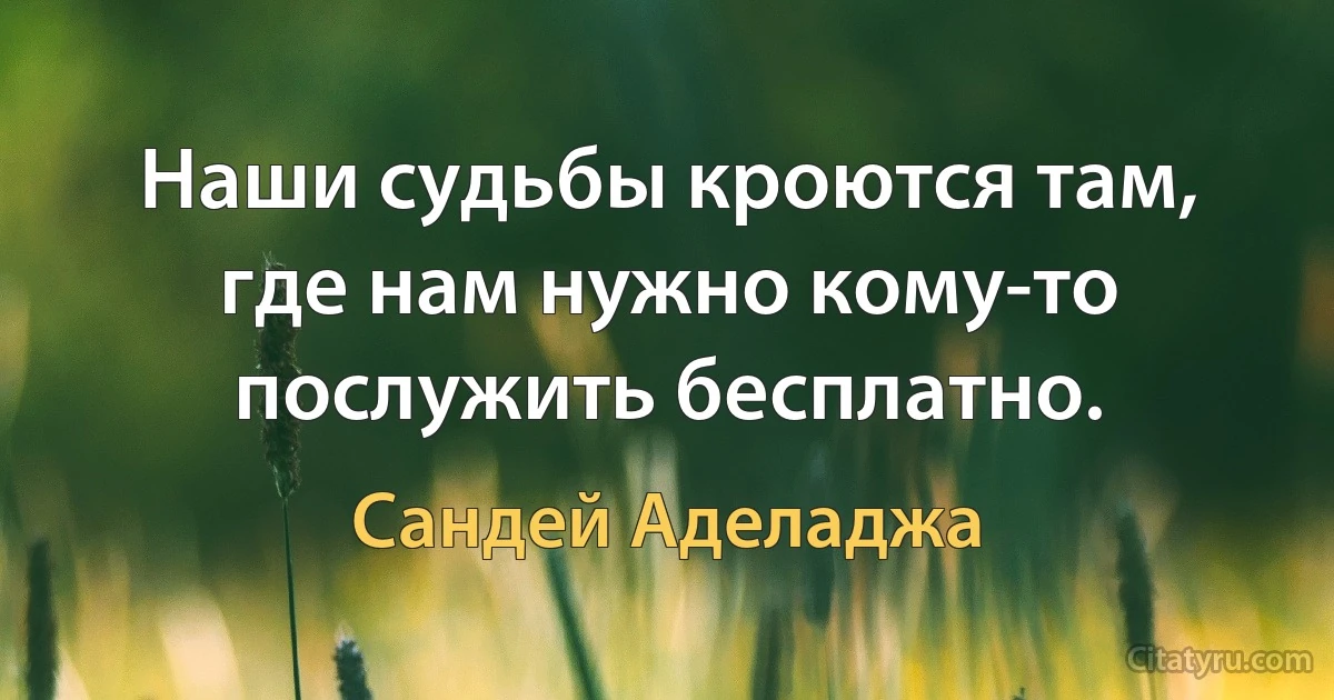 Наши судьбы кроются там, где нам нужно кому-то послужить бесплатно. (Сандей Аделаджа)