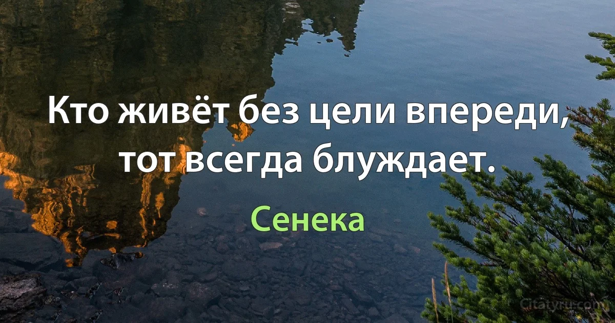 Кто живёт без цели впереди, тот всегда блуждает. (Сенека)