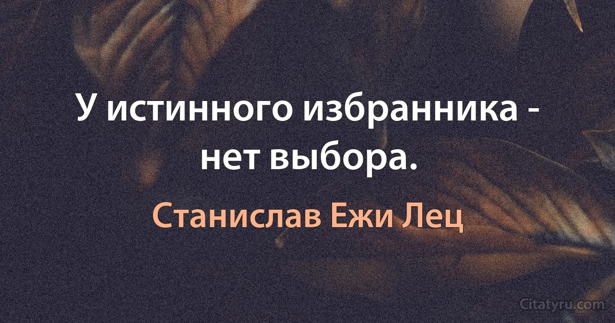 У истинного избранника - нет выбора. (Станислав Ежи Лец)