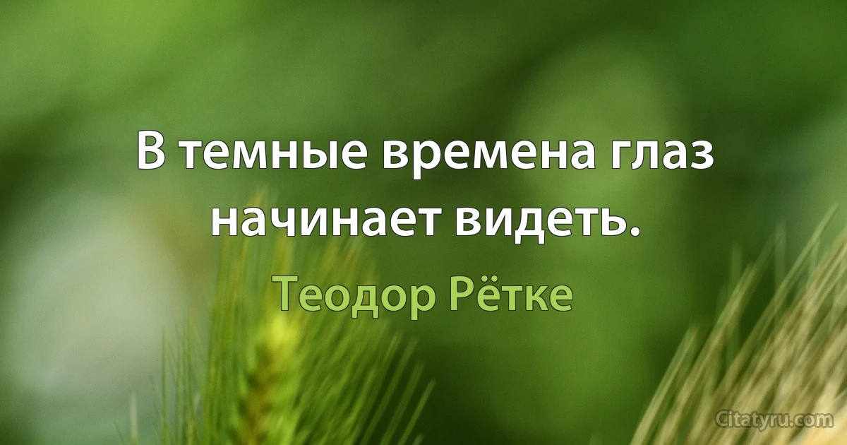 В темные времена глаз начинает видеть. (Теодор Рётке)