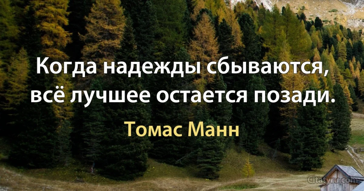 Когда надежды сбываются, всё лучшее остается позади. (Томас Манн)