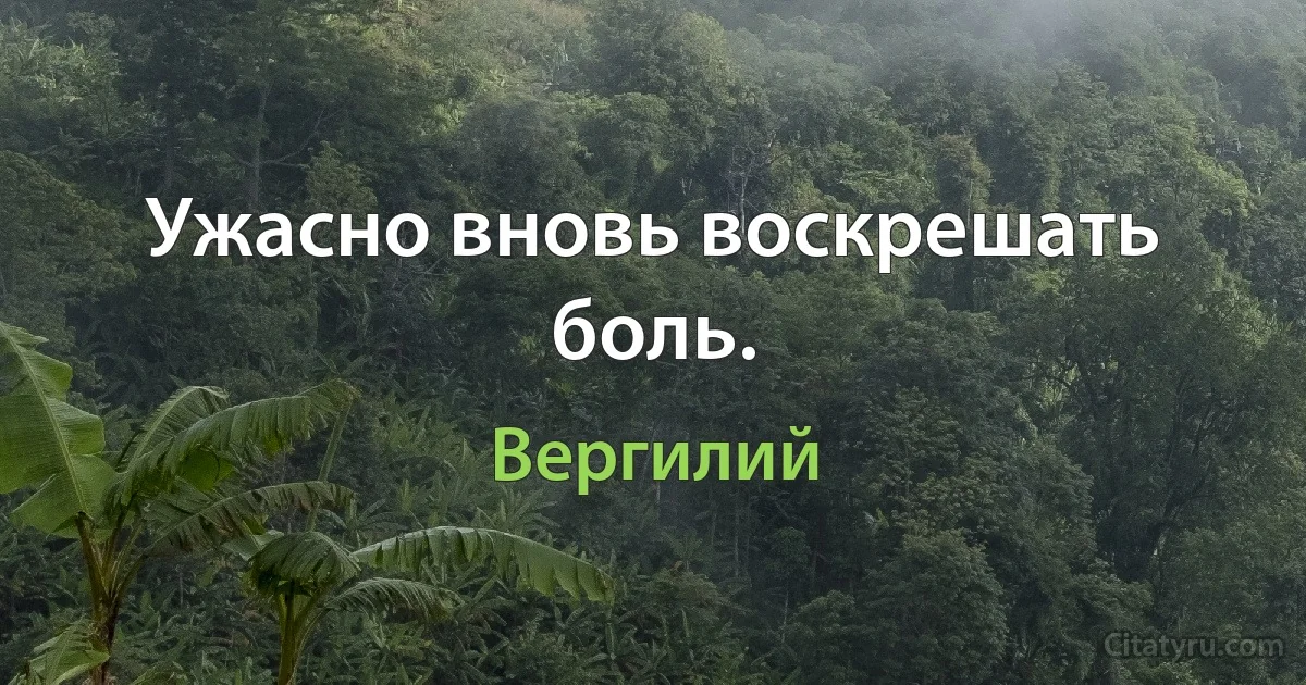 Ужасно вновь воскрешать боль. (Вергилий)