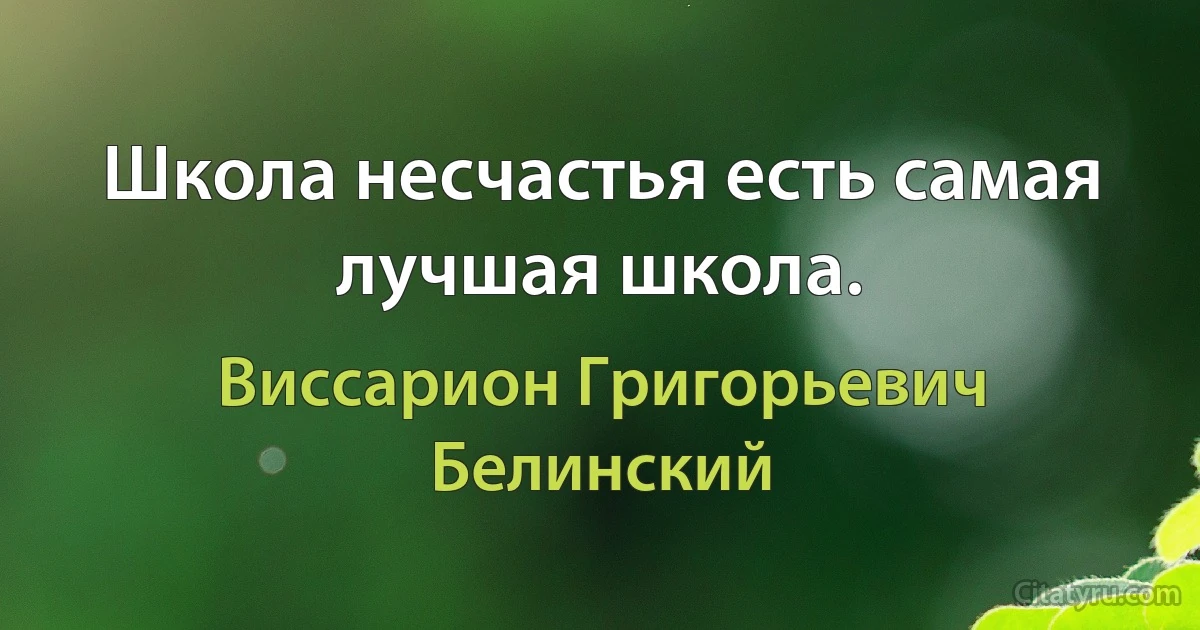 Школа несчастья есть самая лучшая школа. (Виссарион Григорьевич Белинский)