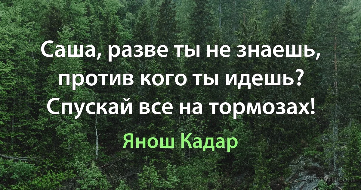 Саша, разве ты не знаешь, против кого ты идешь? Спускай все на тормозах! (Янош Кадар)