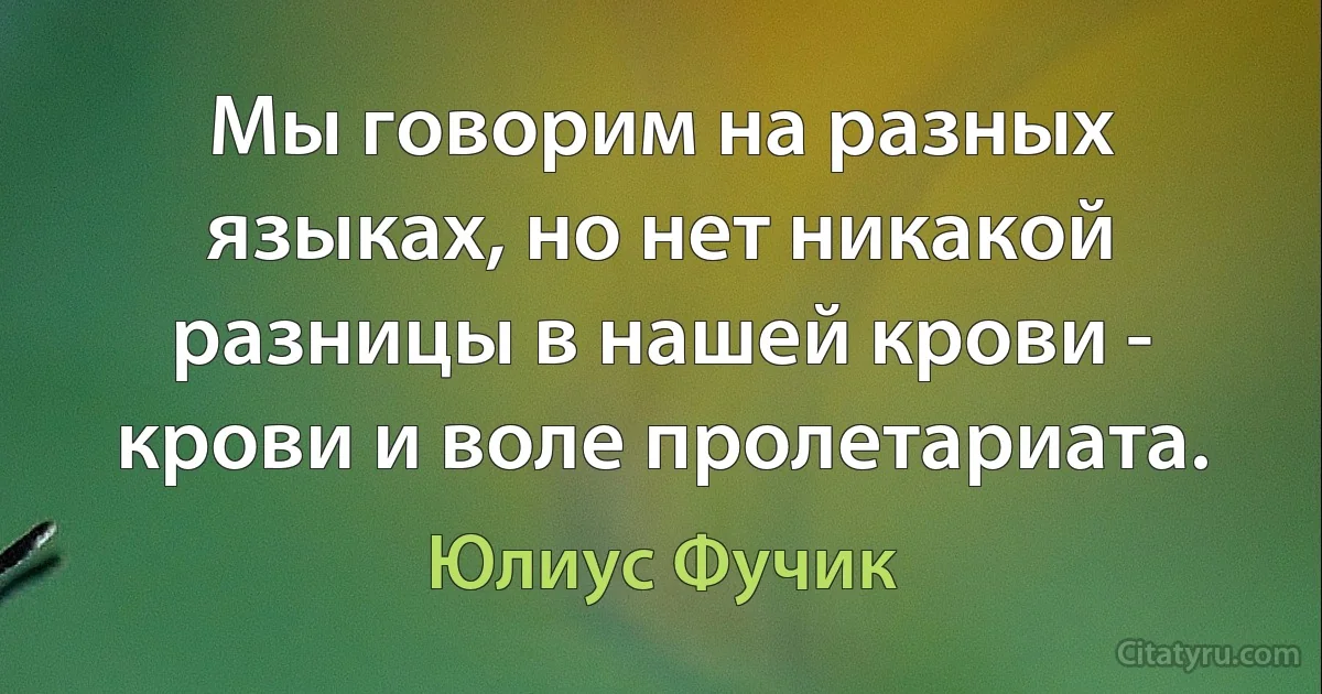 Мы говорим на разных языках, но нет никакой разницы в нашей крови - крови и воле пролетариата. (Юлиус Фучик)