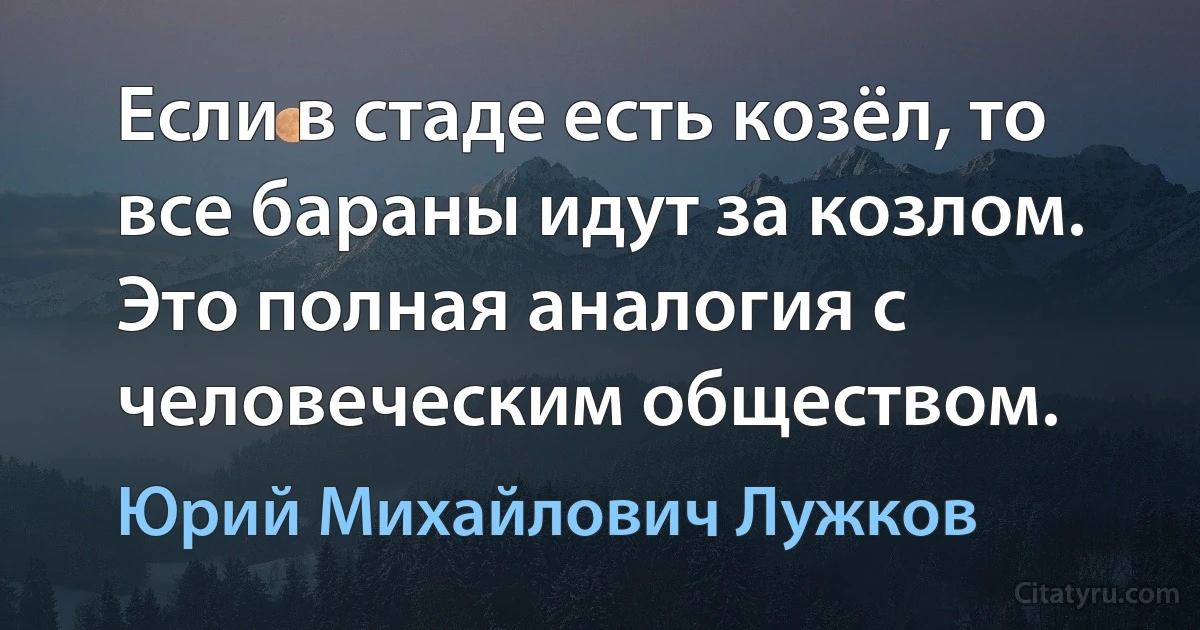 Если в стаде есть козёл, то все бараны идут за козлом. Это полная аналогия с человеческим обществом. (Юрий Михайлович Лужков)