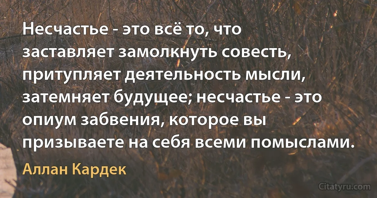 Несчастье - это всё то, что заставляет замолкнуть совесть, притупляет деятельность мысли, затемняет будущее; несчастье - это опиум забвения, которое вы призываете на себя всеми помыслами. (Аллан Кардек)