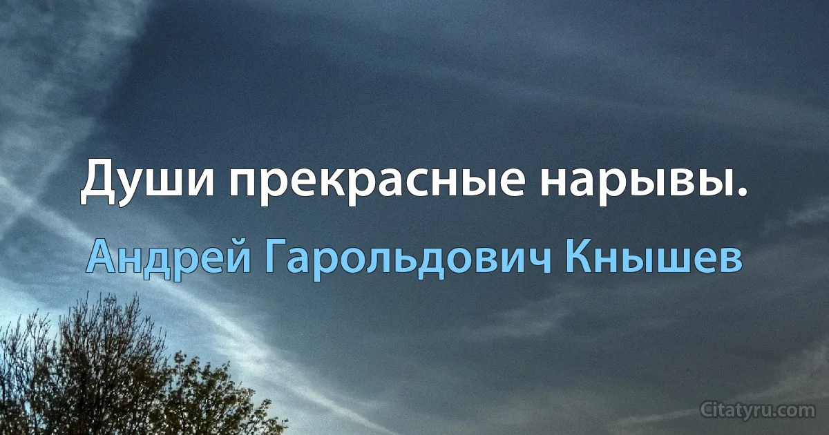 Души прекрасные нарывы. (Андрей Гарольдович Кнышев)