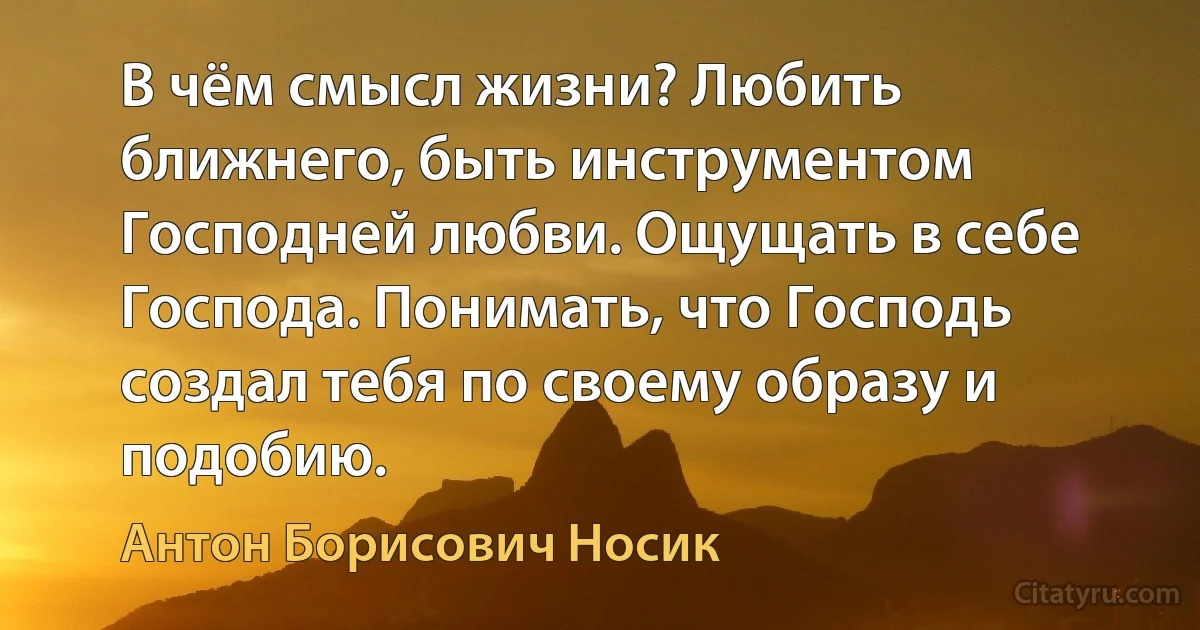 В чём смысл жизни? Любить ближнего, быть инструментом Господней любви. Ощущать в себе Господа. Понимать, что Господь создал тебя по своему образу и подобию. (Антон Борисович Носик)