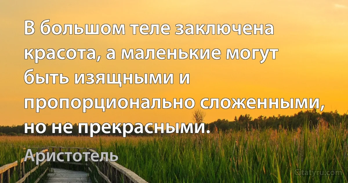 В большом теле заключена красота, а маленькие могут быть изящными и пропорционально сложенными, но не прекрасными. (Аристотель)