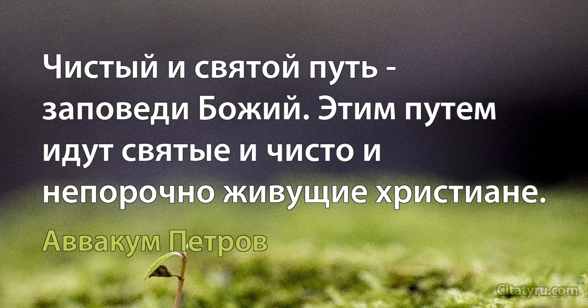 Чистый и святой путь - заповеди Божий. Этим путем идут святые и чисто и непорочно живущие христиане. (Аввакум Петров)