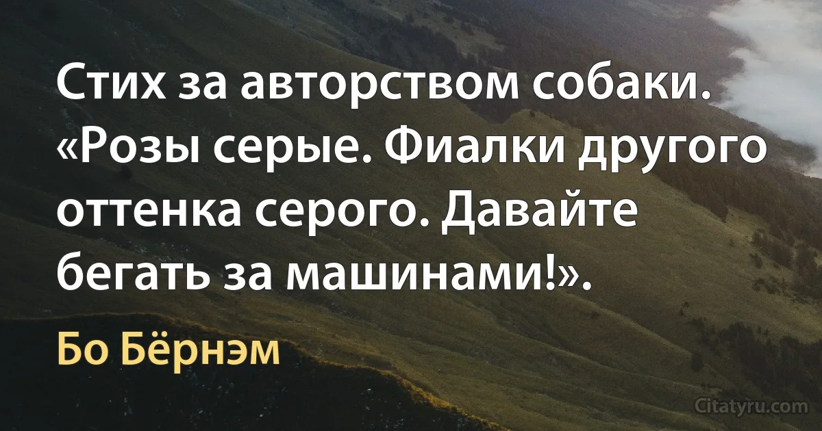 Стих за авторством собаки.
«Розы серые. Фиалки другого оттенка серого. Давайте бегать за машинами!». (Бо Бёрнэм)