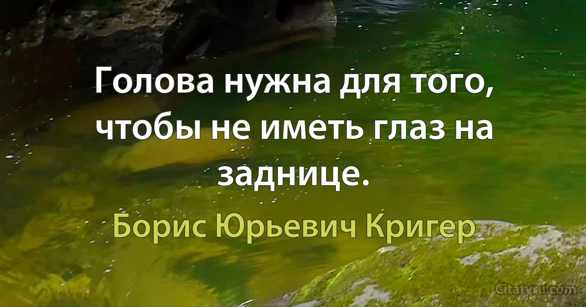 Голова нужна для того, чтобы не иметь глаз на заднице. (Борис Юрьевич Кригер)