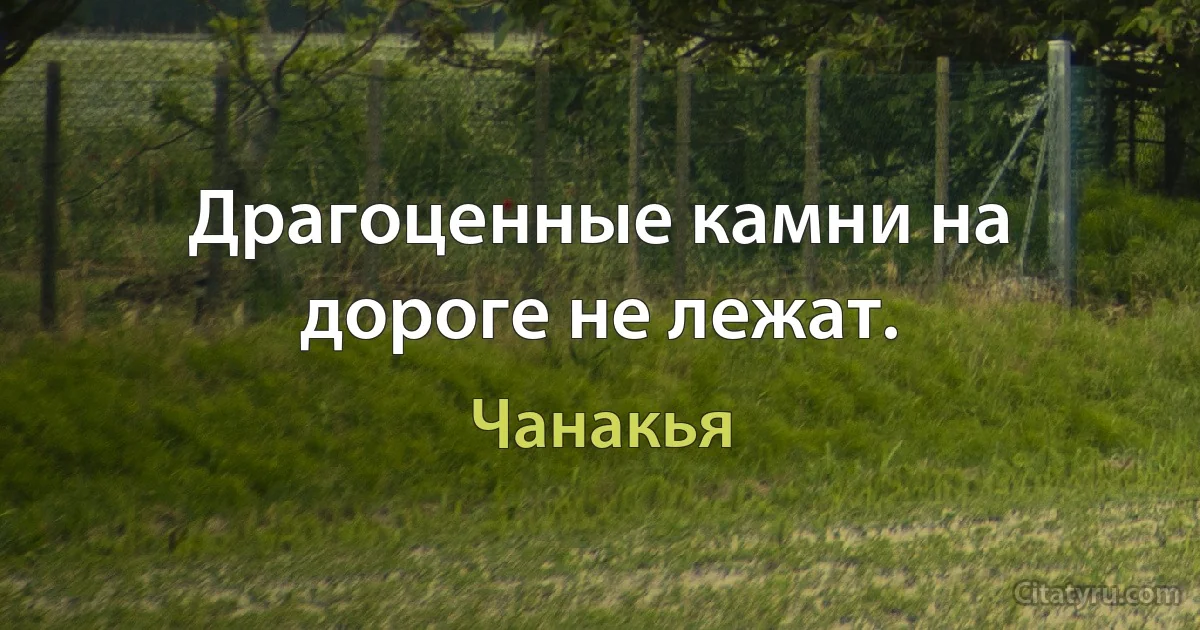 Драгоценные камни на дороге не лежат. (Чанакья)