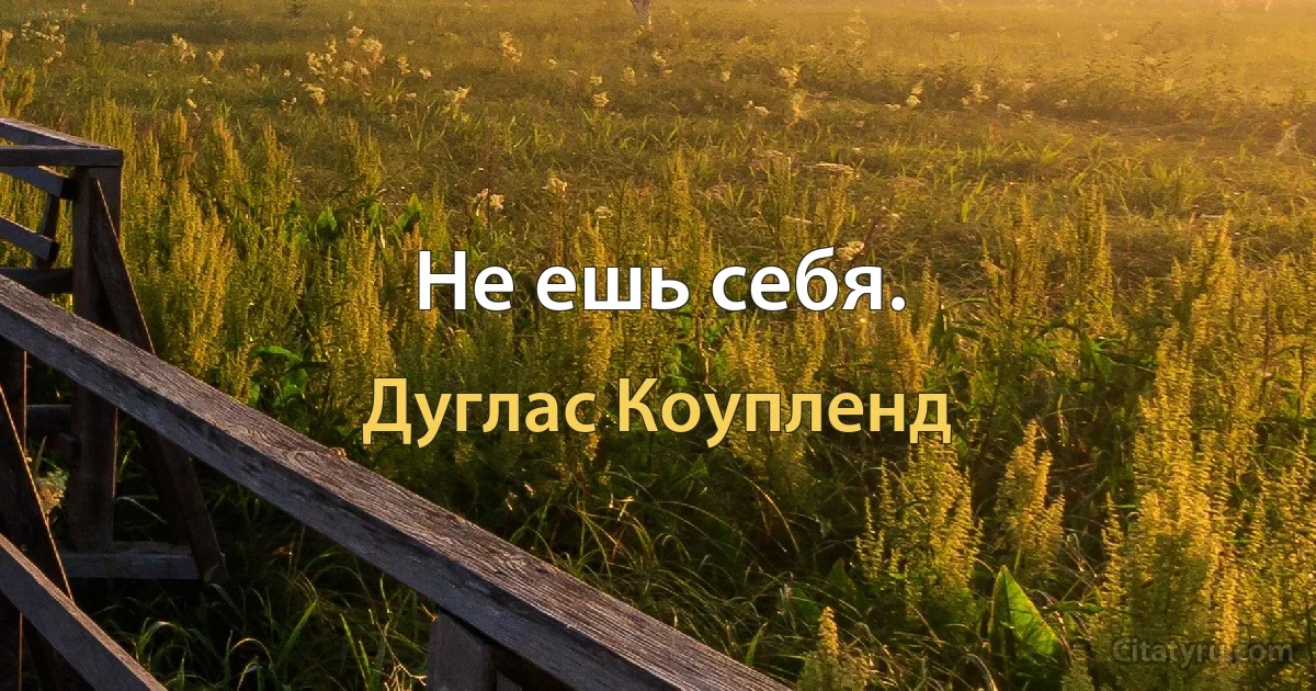 Не ешь себя. (Дуглас Коупленд)