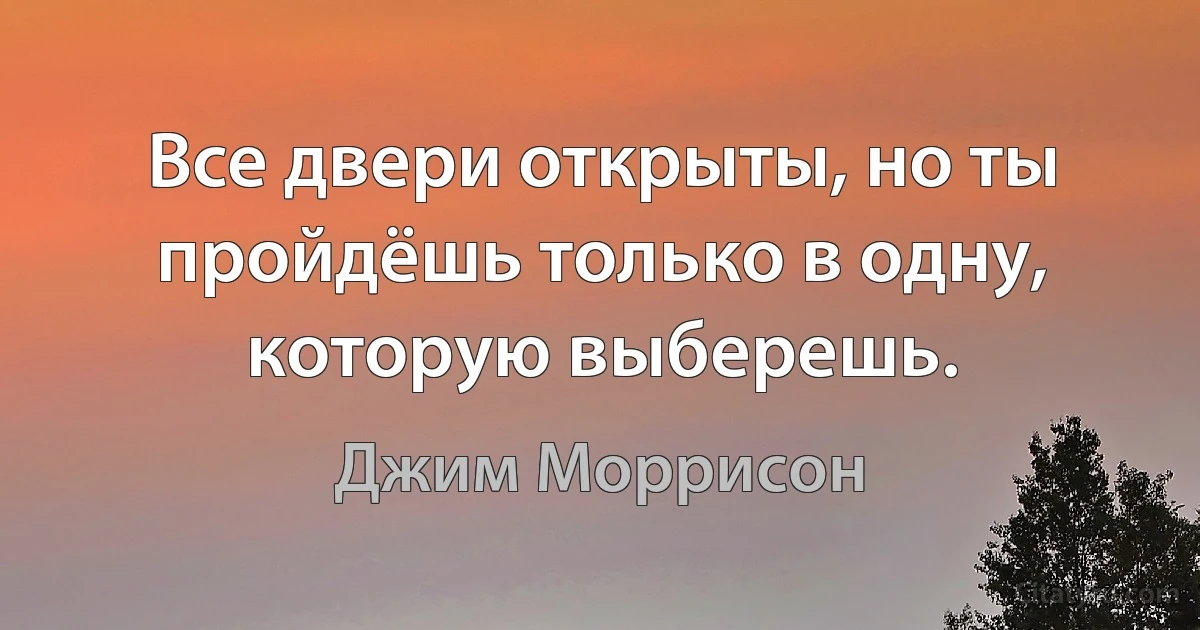 Все двери открыты, но ты пройдёшь только в одну, которую выберешь. (Джим Моррисон)