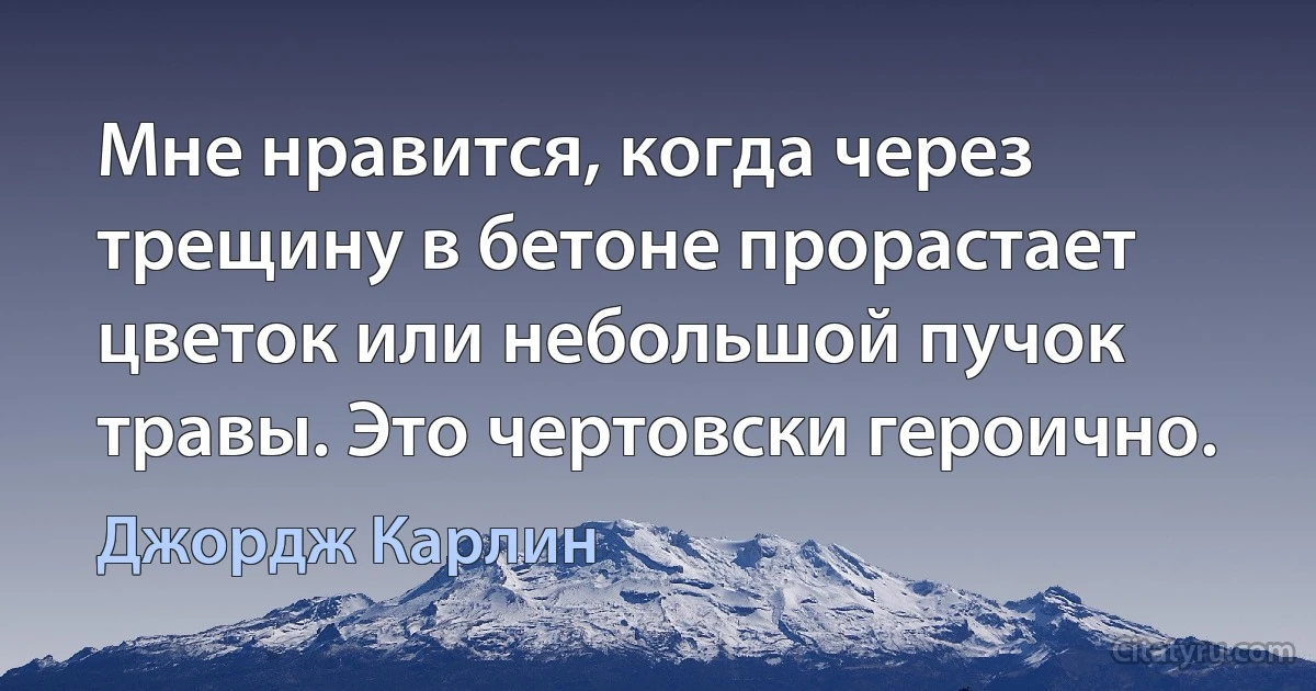 Мне нравится, когда через трещину в бетоне прорастает цветок или небольшой пучок травы. Это чертовски героично. (Джордж Карлин)