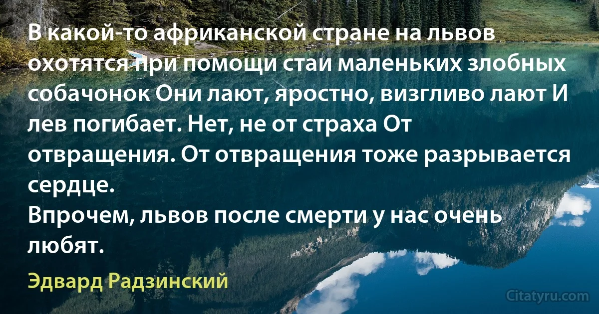 В какой-то африканской стране на львов охотятся при помощи стаи маленьких злобных собачонок Они лают, яростно, визгливо лают И лев погибает. Нет, не от страха От отвращения. От отвращения тоже разрывается сердце.
Впрочем, львов после смерти у нас очень любят. (Эдвард Радзинский)