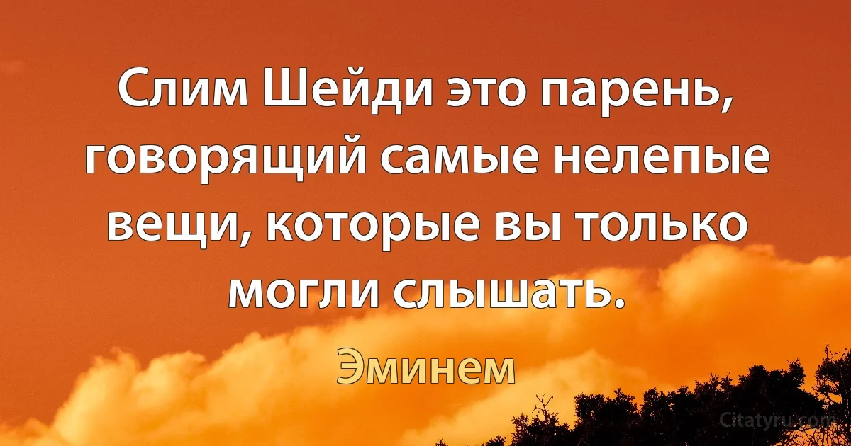 Слим Шейди это парень, говорящий самые нелепые вещи, которые вы только могли слышать. (Эминем)