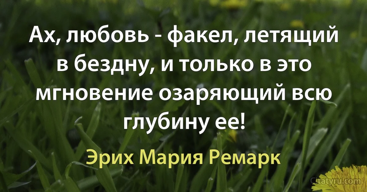 Ах, любовь - факел, летящий в бездну, и только в это мгновение озаряющий всю глубину ее! (Эрих Мария Ремарк)