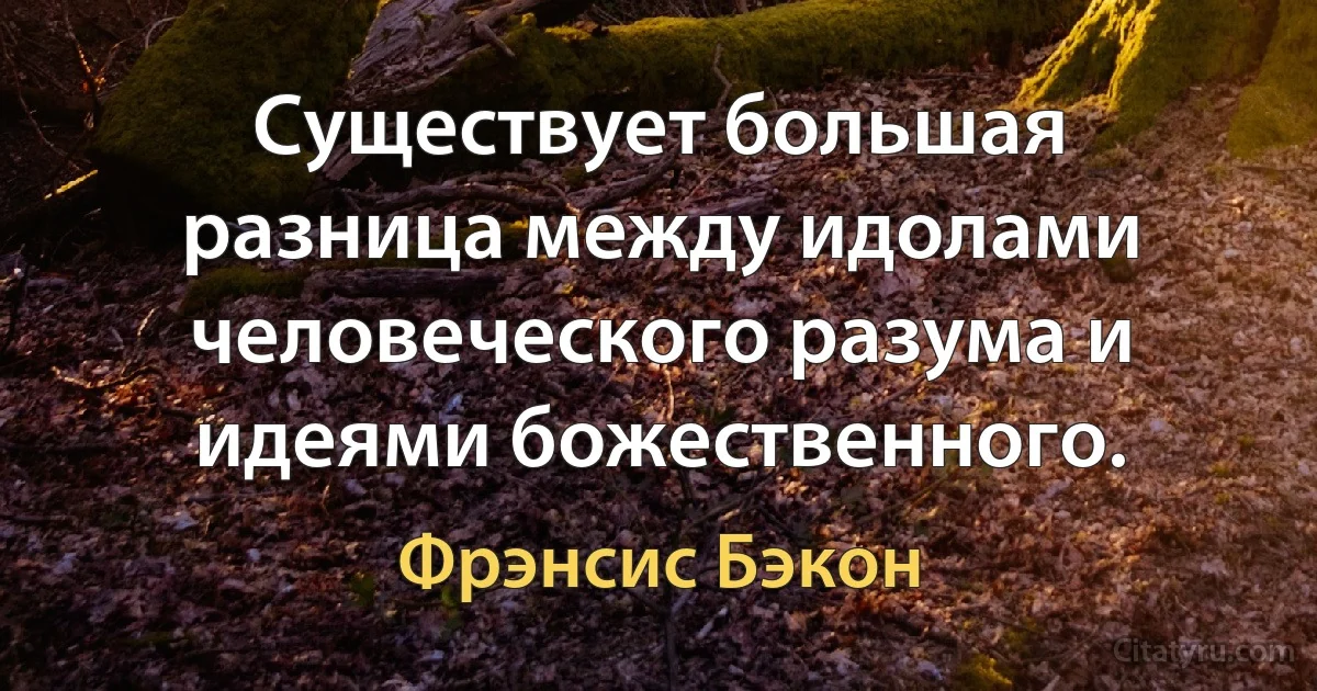 Существует большая разница между идолами человеческого разума и идеями божественного. (Фрэнсис Бэкон)