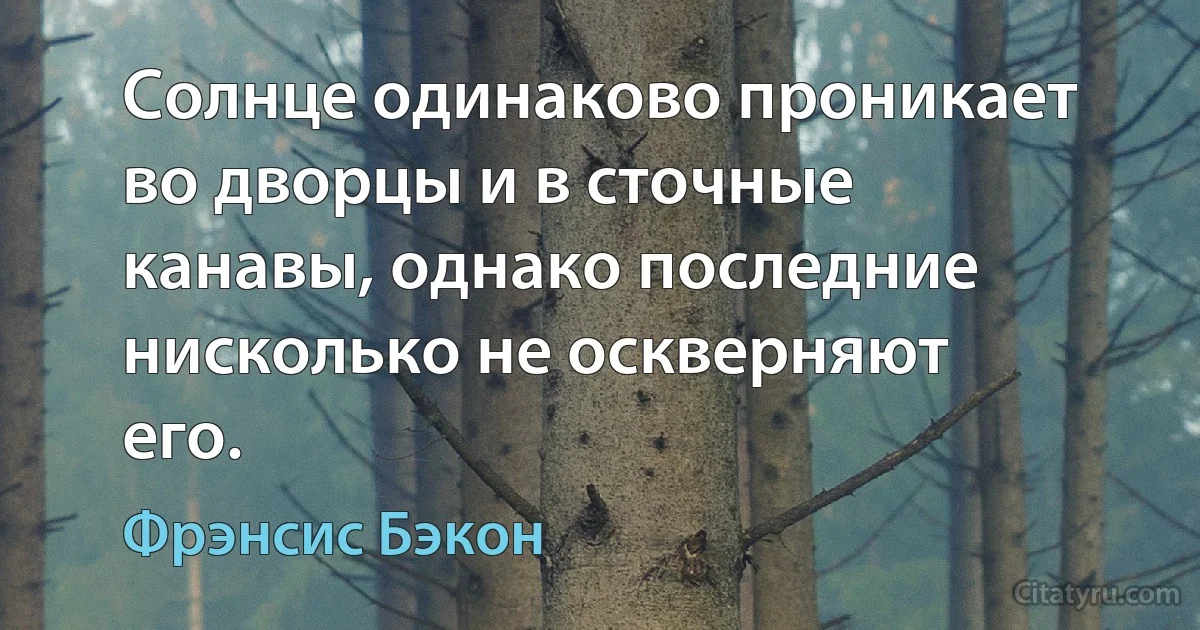 Солнце одинаково проникает во дворцы и в сточные канавы, однако последние нисколько не оскверняют его. (Фрэнсис Бэкон)