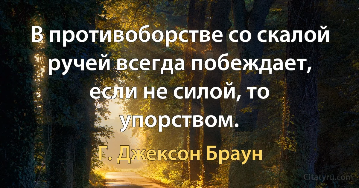 В противоборстве со скалой ручей всегда побеждает, если не силой, то упорством. (Г. Джексон Браун)