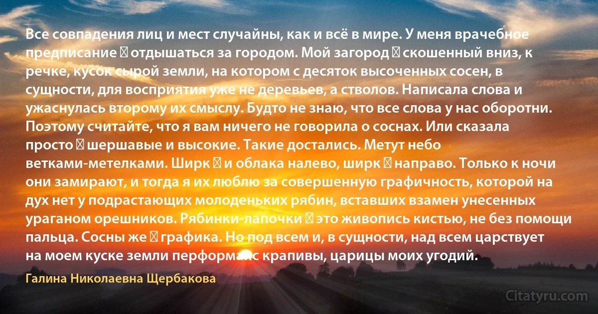 Все совпадения лиц и мест случайны, как и всё в мире. У меня врачебное предписание ― отдышаться за городом. Мой загород ― скошенный вниз, к речке, кусок сырой земли, на котором с десяток высоченных сосен, в сущности, для восприятия уже не деревьев, а стволов. Написала слова и ужаснулась второму их смыслу. Будто не знаю, что все слова у нас оборотни. Поэтому считайте, что я вам ничего не говорила о соснах. Или сказала просто ― шершавые и высокие. Такие достались. Метут небо ветками-метелками. Ширк ― и облака налево, ширк ― направо. Только к ночи они замирают, и тогда я их люблю за совершенную графичность, которой на дух нет у подрастающих молоденьких рябин, вставших взамен унесенных ураганом орешников. Рябинки-лапочки ― это живопись кистью, не без помощи пальца. Сосны же ― графика. Но под всем и, в сущности, над всем царствует на моем куске земли перформанс крапивы, царицы моих угодий. (Галина Николаевна Щербакова)