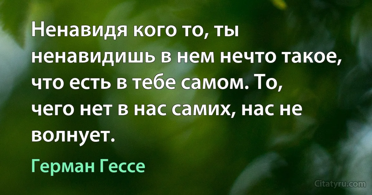 Ненавидя кого то, ты ненавидишь в нем нечто такое, что есть в тебе самом. То, чего нет в нас самих, нас не волнует. (Герман Гессе)