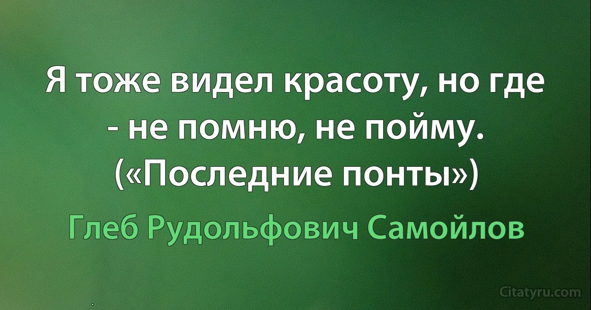 Я тоже видел красоту, но где - не помню, не пойму. («Последние понты») (Глеб Рудольфович Самойлов)