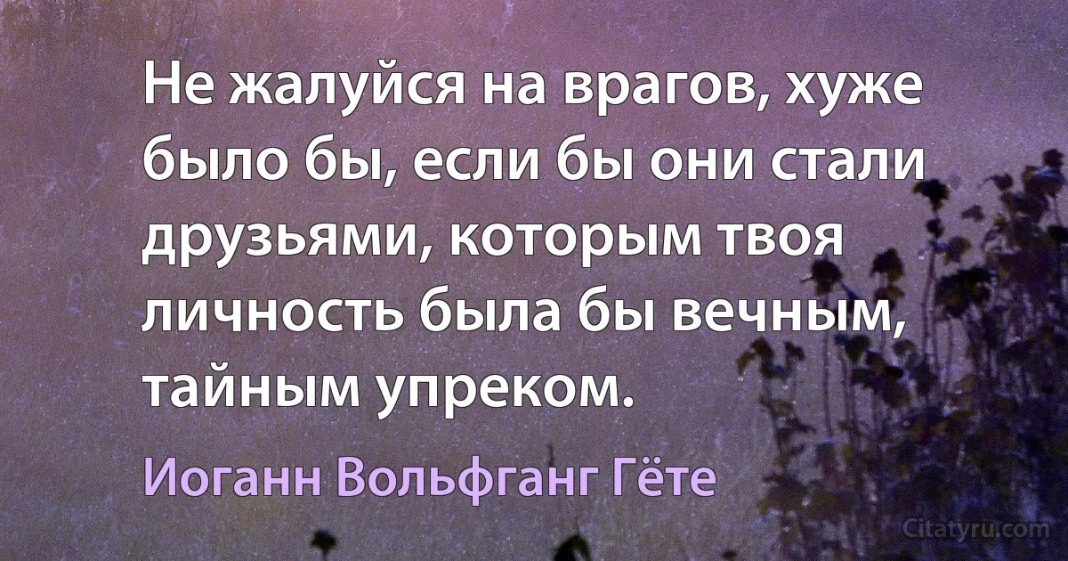 Не жалуйся на врагов, хуже было бы, если бы они стали друзьями, которым твоя личность была бы вечным, тайным упреком. (Иоганн Вольфганг Гёте)