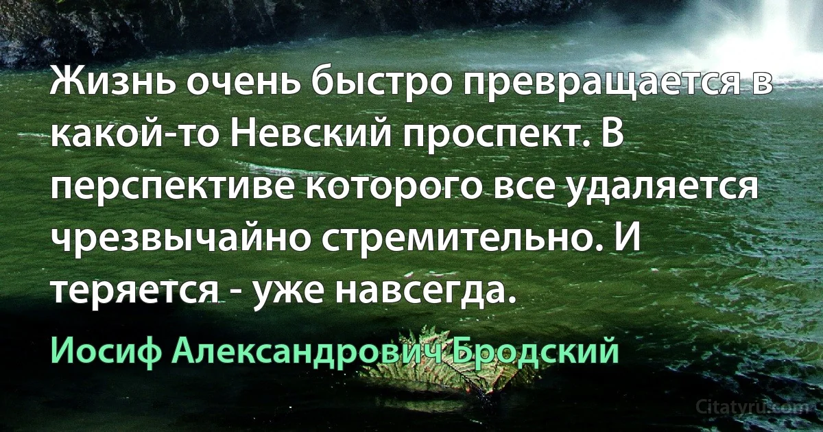 Жизнь очень быстро превращается в какой-то Невский проспект. В перспективе которого все удаляется чрезвычайно стремительно. И теряется - уже навсегда. (Иосиф Александрович Бродский)