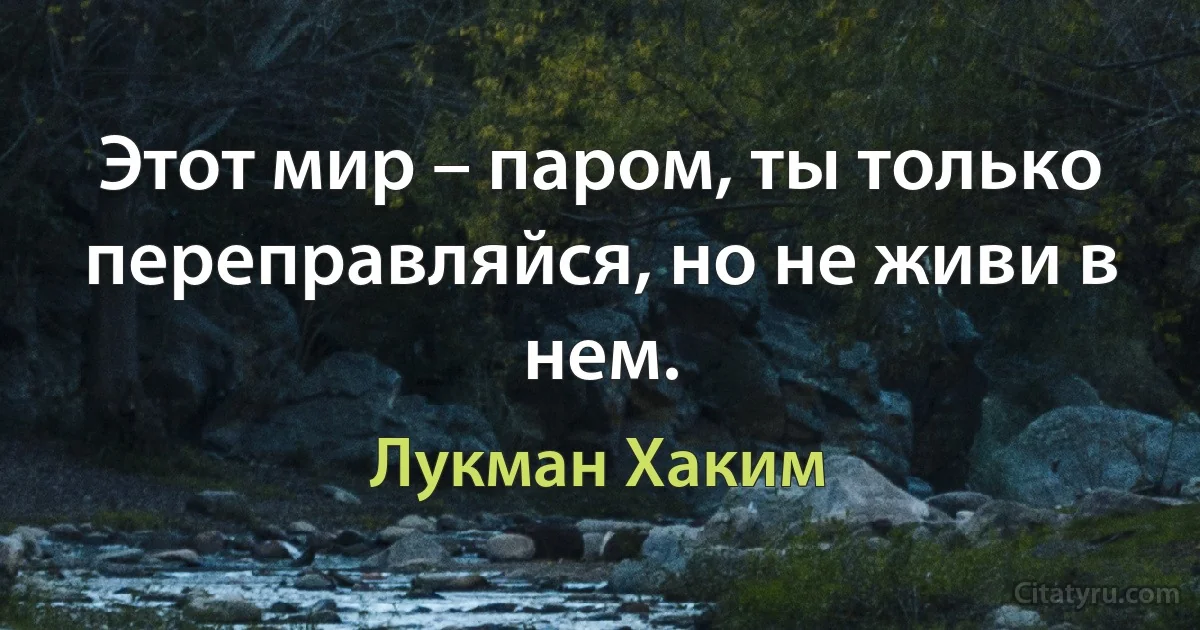 Этот мир – паром, ты только переправляйся, но не живи в нем. (Лукман Хаким)