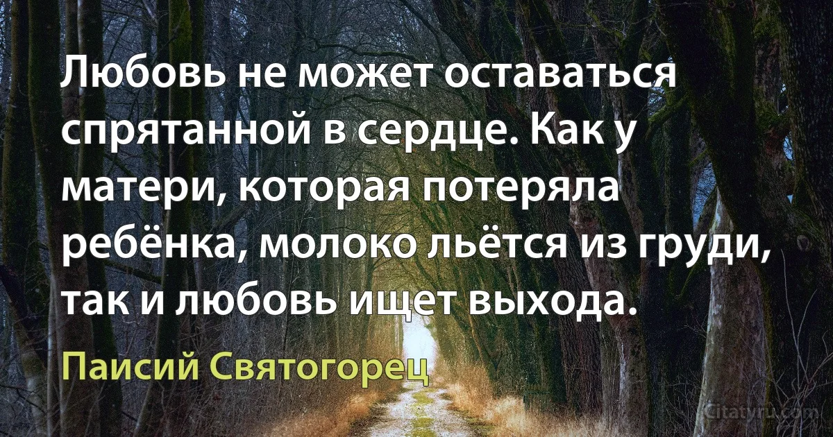 Любовь не может оставаться спрятанной в сердце. Как у матери, которая потеряла ребёнка, молоко льётся из груди, так и любовь ищет выхода. (Паисий Святогорец)
