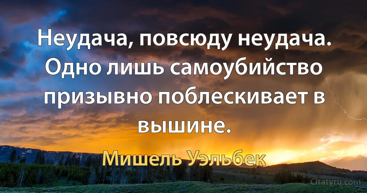 Неудача, повсюду неудача. Одно лишь самоубийство призывно поблескивает в вышине. (Мишель Уэльбек)