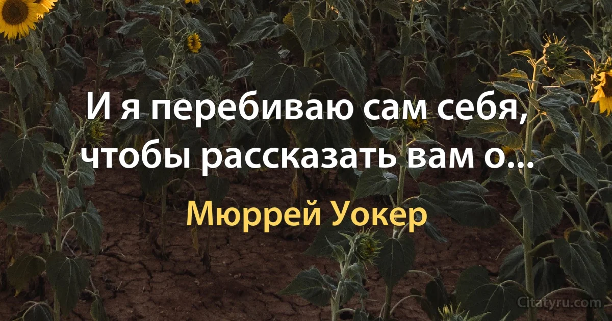 И я перебиваю сам себя, чтобы рассказать вам о... (Мюррей Уокер)