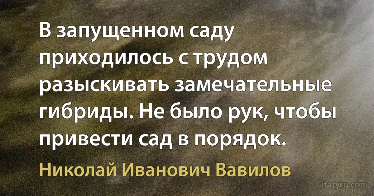 В запущенном саду приходилось с трудом разыскивать замечательные гибриды. Не было рук, чтобы привести сад в порядок. (Николай Иванович Вавилов)