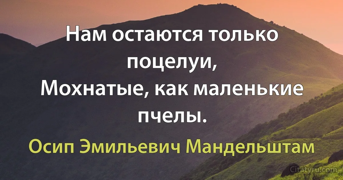 Нам остаются только поцелуи,
Мохнатые, как маленькие пчелы. (Осип Эмильевич Мандельштам)