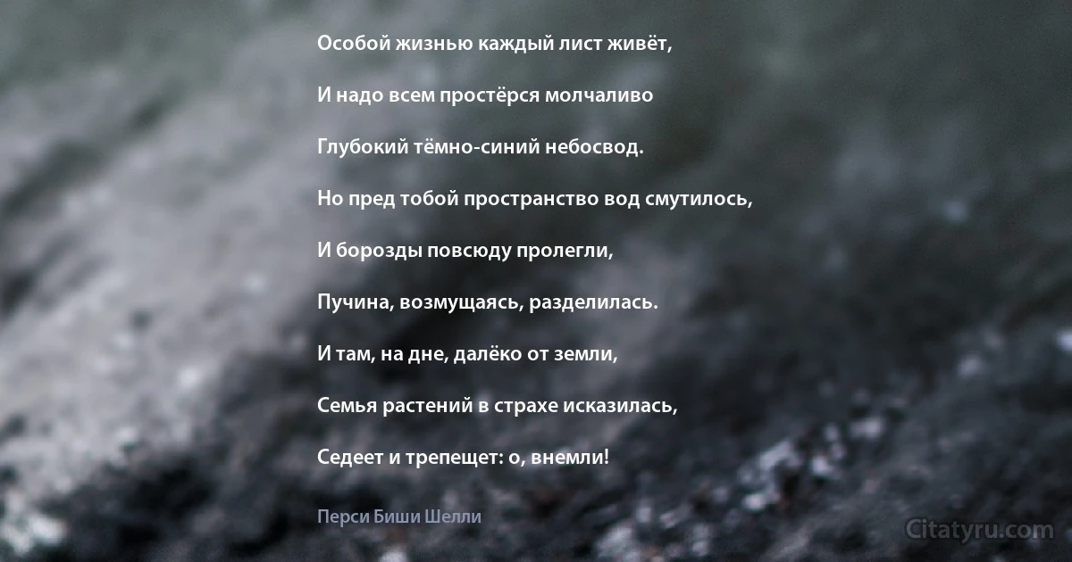 Особой жизнью каждый лист живёт,

И надо всем простёрся молчаливо

Глубокий тёмно-синий небосвод.

Но пред тобой пространство вод смутилось,

И борозды повсюду пролегли,

Пучина, возмущаясь, разделилась.

И там, на дне, далёко от земли,

Семья растений в страхе исказилась,

Седеет и трепещет: о, внемли! (Перси Биши Шелли)