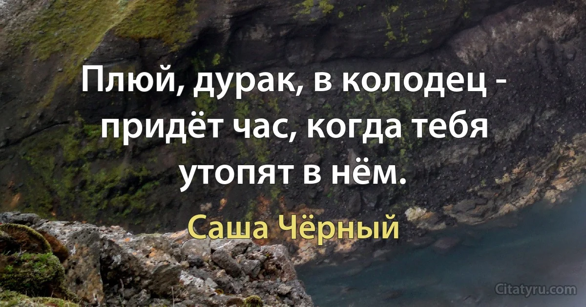 Плюй, дурак, в колодец - придёт час, когда тебя утопят в нём. (Саша Чёрный)