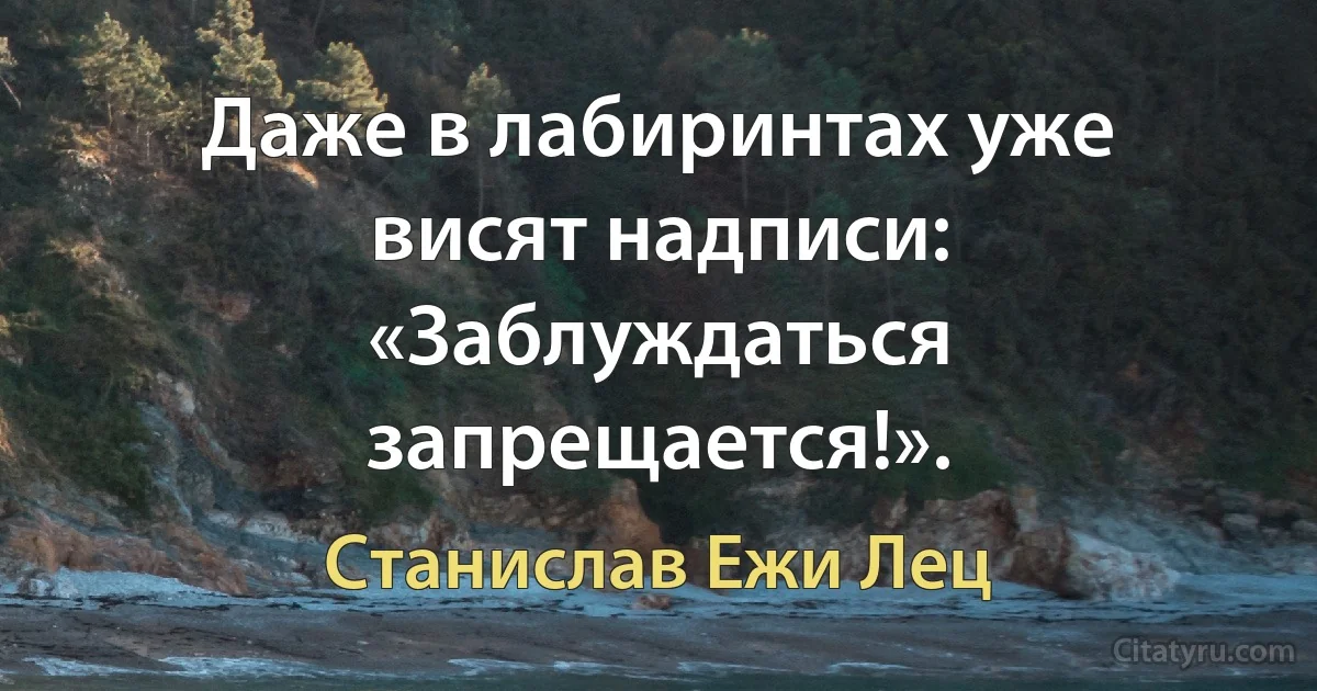 Даже в лабиринтах уже висят надписи: «Заблуждаться запрещается!». (Станислав Ежи Лец)