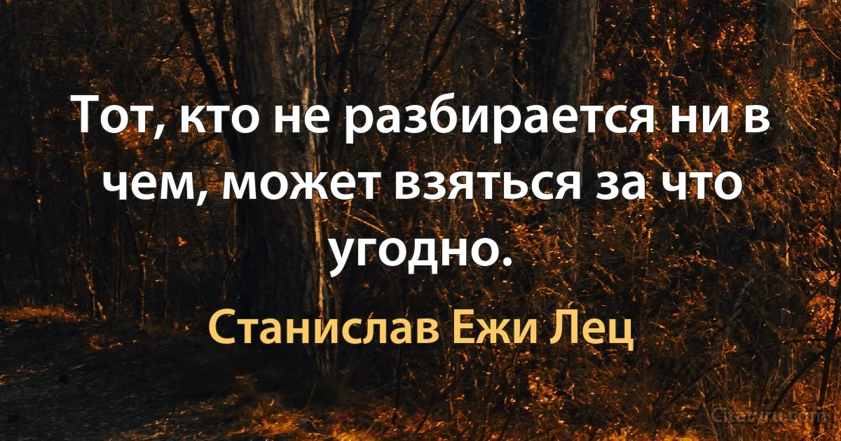 Тот, кто не разбирается ни в чем, может взяться за что угодно. (Станислав Ежи Лец)